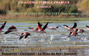 Challenge Petite Camargue