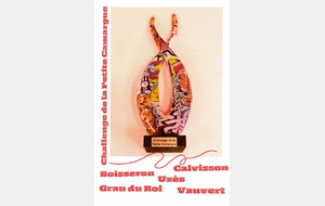 Grau du Roi - Challenge Petite Camargue