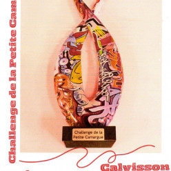 Résultats Challenge Petite Camargue
